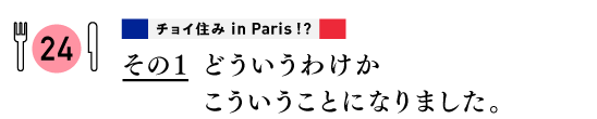 ２４　【チョイ住み in Paris ？！】
その１　どういうわけかこういうことになりました。