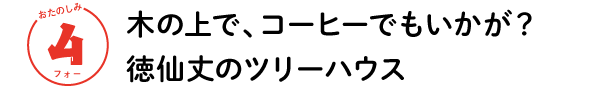 おたのしみ ４フォー　木の上で、コーヒーでもいかが？　徳仙丈のツリーハウス