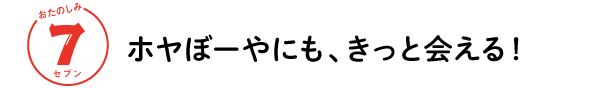 おたのしみ ７セブン　ホヤぼーやにも、きっと会える！