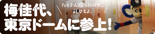 梅佳代、東京ドームに参上！