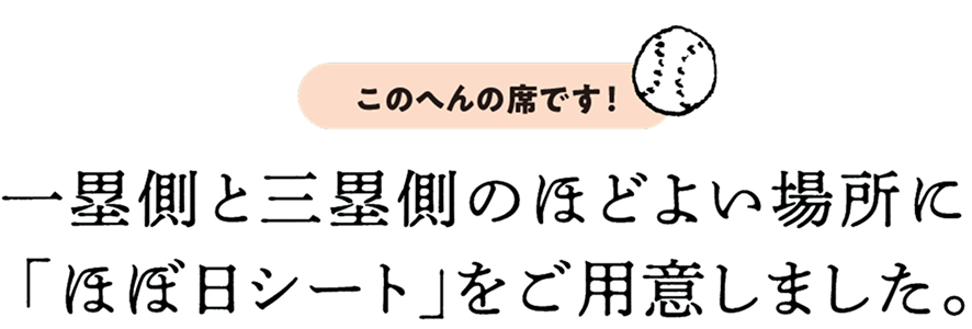 一塁側と三塁側のほどよい場所に
					「ほぼ日シート」をご用意しました。