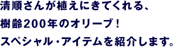 清順さんが植えにきてくれる、 樹齢200年のオリーブ！ スペシャル・アイテムを紹介します。