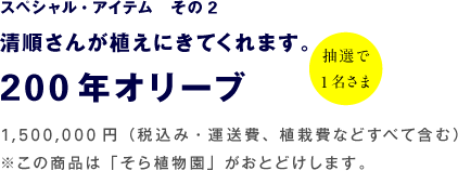 スペシャル・アイテム　その1 おおきな砂漠のバラ　24,000円～120,000円（税・配送手数料込み）【限定 7名さま】