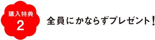 購入特典２　全員にかならずプレゼント！