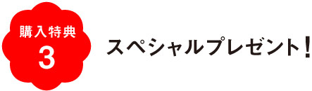 購入特典３　スペシャルプレゼント！