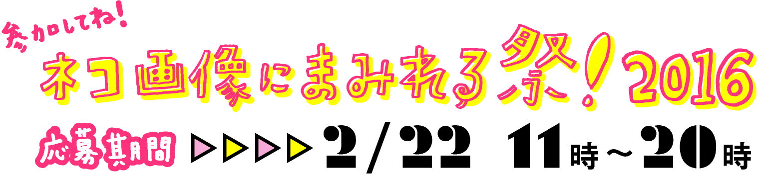 ネコの画像にまみれる祭!2016応募期間:2/22 11時~20時