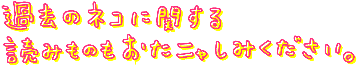 過去のネコに関する読み物もおたのしみください