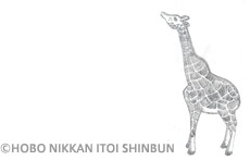 (C)�قړ����C�g�C�V��