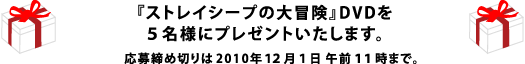 『ストレイシープの大冒険』DVDを５名様にプレゼントいたします。 応募締め切りは2010年１２月１日午前１１時まで。