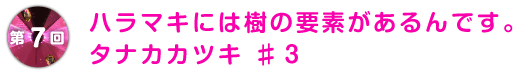 第7回 ハラマキには樹の要素があるんです。