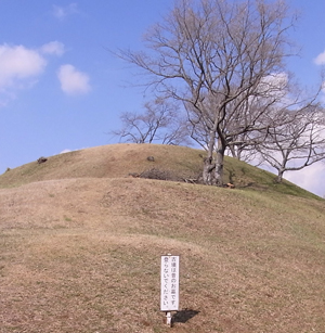 あ、登っちゃだめなんだ！ 頂上、気持ち良さそうなのに～、残念！