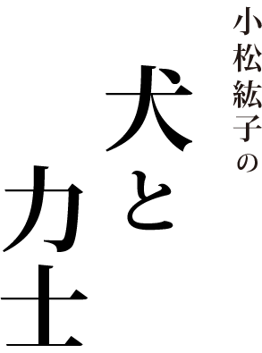 小松紘子の犬と力士