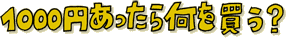 11000円あったら何を買う？