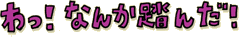 1わっ！なんか踏んだ！