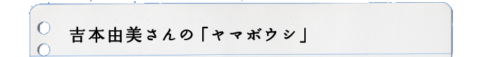 吉本由美さんの「ダンコウバイ」