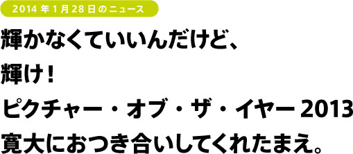 輝かなくていいんだけど、
輝け! ピクチャー・オブ・ザ・イヤー2013
寛大におつき合いしてくれたまえ。