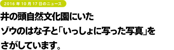 宇多田ヒカルさんが 約6年振りに出演する歌番組に 糸井重里が登場しますよー。
