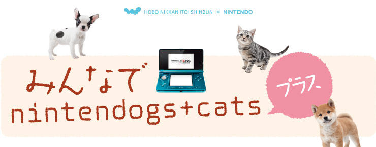 ݂Ȃ nintendogs+catsvX