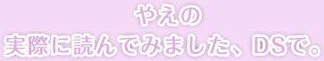 やえの実際に読んでみました、DSで。