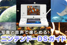 ニンテンドーDS ガイド