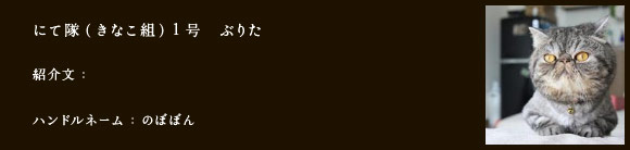 にて隊（きなこ組）1号　ぶりた
紹介文：
ハンドルネーム：​のぼぼん