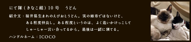 にて隊（きなこ組）10号　うどん
紹介文：
ハンドルネーム：​マコ
にて隊（きなこ組）9号　桃太（ももた）
紹介文：福井県生まれのえびおとうどん。
実の姉弟ではないけど、ある程度仲良し。
ある程度というのは、よく追いかけっこしてしゃーしゃー
言い合ってるから。
最後は一緒に寝てる。
ハンドルネーム：ICOCO