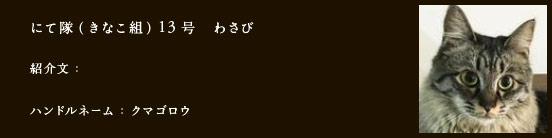 にて隊（きなこ組）13号　わさび
紹介文：
ハンドルネーム：​クマゴロウ