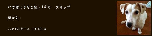 にて隊（きなこ組）14号　スキップ
紹介文：
ハンドルネーム：​てるしの