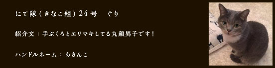 にて隊（きなこ組）24号　ぐり
紹介文：手ぶくろとエリマキしてる丸顔男子です！
ハンドルネーム：あきんこ