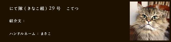 にて隊（きなこ組）29号　こてつ
紹介文：
ハンドルネーム：まさこ