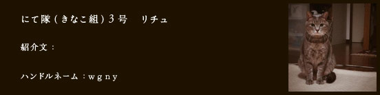 にて隊（きなこ組）3号　リチュ
紹介文：
ハンドルネーム：​ｗｇｎｙ