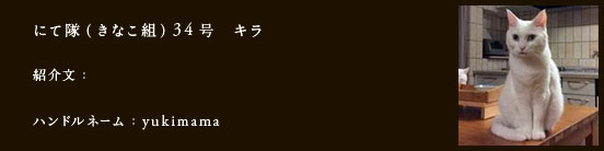にて隊（きなこ組）34号　キラ
紹介文：強気な見た目とはウラハラ、バロンの後ろでいつも控えめのボーイ。甘えん坊の抱っこまん。赤ちゃんが大好き。
ハンドルネーム：yukimama