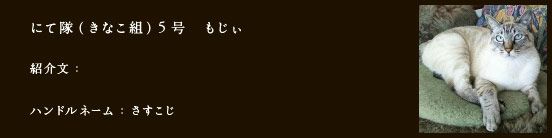 にて隊（きなこ組）5号　もじぃ
紹介文：
ハンドルネーム：​bourreesam