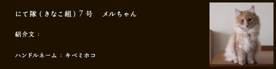 にて隊（きなこ組）7号　メルちゃん
紹介文：
ハンドルネーム：​さすこじ