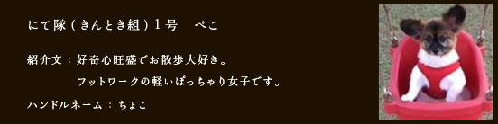 にて隊（きんとき組）1号　ぺこ
紹介文：好奇心旺盛でお散歩大好き。フットワークの軽いぽっちゃり女子です。
ハンドルネーム：ちょこ