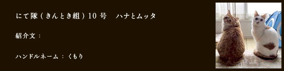 にて隊（きんとき組）10号　ハナとムッタ
紹介文：
ハンドルネーム：くもり