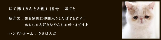 にて隊（きんとき組）18号　ぽてと
紹介文：先日家族に仲間入りしたぽてとです！ 
おもちゃ大好きなやんちゃボーイです♪
ハンドルネーム：さきぱんだ