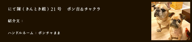 にて隊（きんとき組）21号　ポン吉＆チャクラ
紹介文：
ハンドルネーム：ポンチャまま