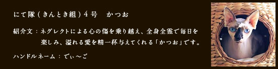 にて隊（きんとき組）4号　かつお
紹介文：ネグレクトによる心の傷を乗り越え、全身全霊で毎日を楽しみ、溢れる愛を精一杯与えてくれる「かつお」です。
ハンドルネーム：でぃ～ご