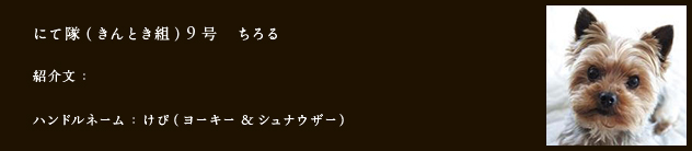 にて隊（きんとき組）9号　ちろる
紹介文：
ハンドルネーム：けぴ （ヨーキー&シュナウザー）