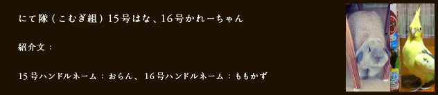 にて隊（こむぎ組）15号はな、16号かれーちゃん
紹介文：
15号ハンドルネーム：おらん、16号ハンドルネーム：ももかず