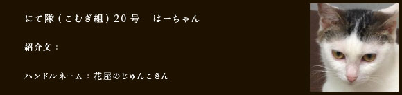 にて隊（こむぎ組）20号はーちゃん
紹介文：
ハンドルネーム：花屋のじゅんこさん