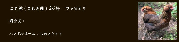 にて隊（こむぎ組）26号　ファビオラ 
紹介文：
ハンドルネーム：にわとりママ