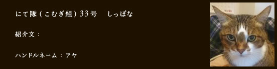 にて隊（こむぎ組）33号　しっぽな
紹介文：
ハンドルネーム：アヤ​