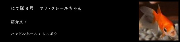 にて隊8号　マリ・クレールちゃん　紹介文：今回の紹介文はこちらからどうぞ　ハンドルネーム：しっぽ９