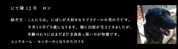 にて隊12号　ロン　紹介文：こんにちは。にぼしが大好きなラブラドールの男の子です。今年１０月で９歳になります。顎に白髪が生えてきましたが、年齢のわりにはまだまだ全身真っ黒いのが特徴です。　ニックネーム：センターのとなりのたけうち