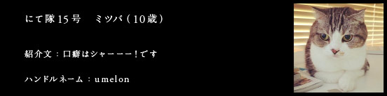 にて隊15号　ミツバ（10歳）
紹介文：口癖はシャーーー！です
ハンドルネーム：umelon