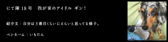にて隊18号　我が家のアイドル ギン！
紹介文：自分は3番目くらいにえらいと思ってる様子。
ペンネーム：いもたん