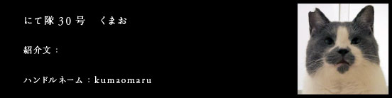 にて隊30号　くまお
紹介文：
ハンドルネーム：まるちゃん