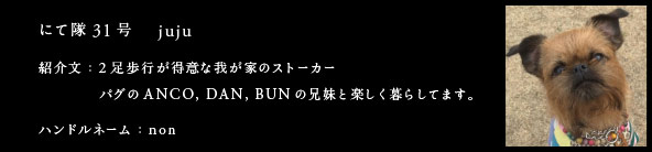 にて隊31号　juju
紹介文：2足歩行が得意な我が家のストーカー
パグのANCO,DAN,BUNの兄妹と楽しく暮らしてます。
ハンドルネーム：non 